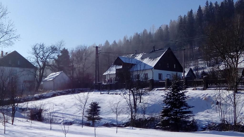 Penzion Edelstejn Petrovice  Extérieur photo